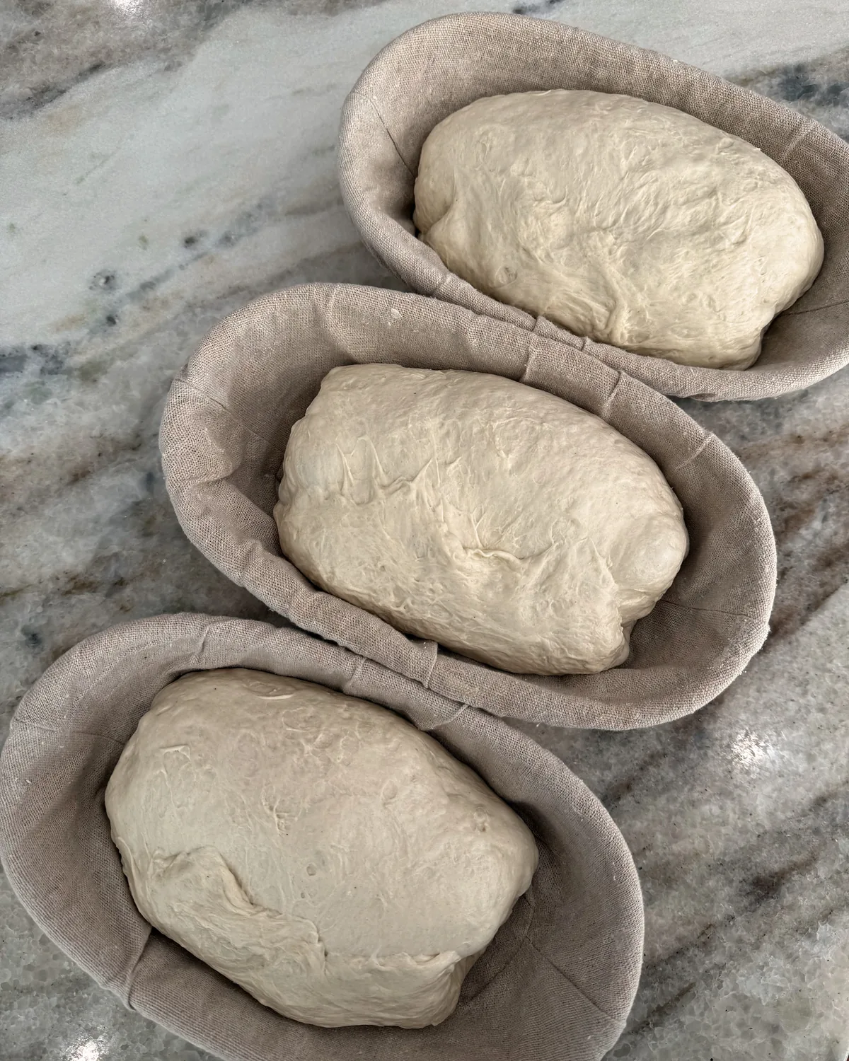 Dough shaped in linen proofing baskets