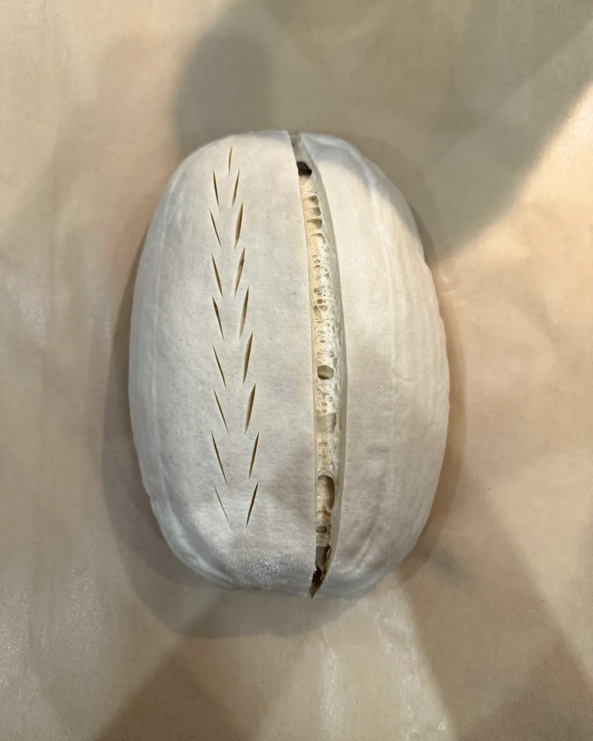 Proofed dough scored with a wheat stalk pattern