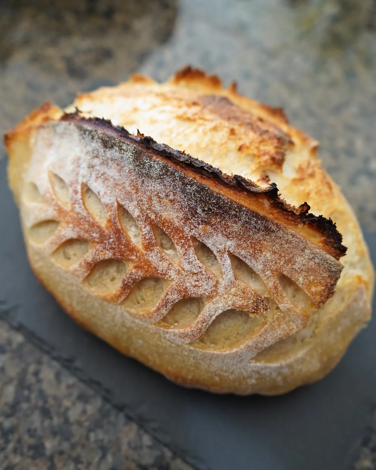 Baked sourdough loaf with wheat stalk scoring