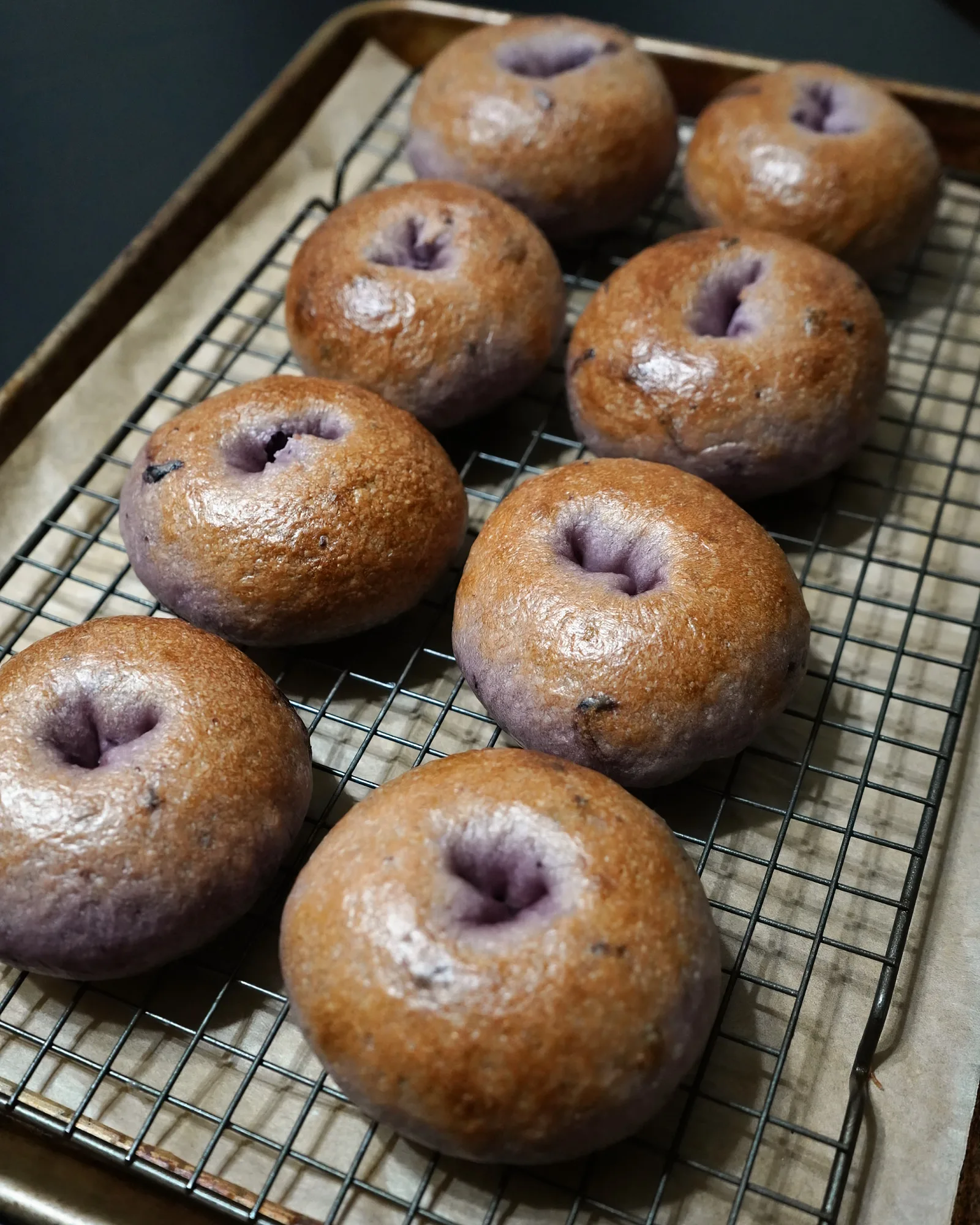 Flavored Sourdough Bagels, photo 4