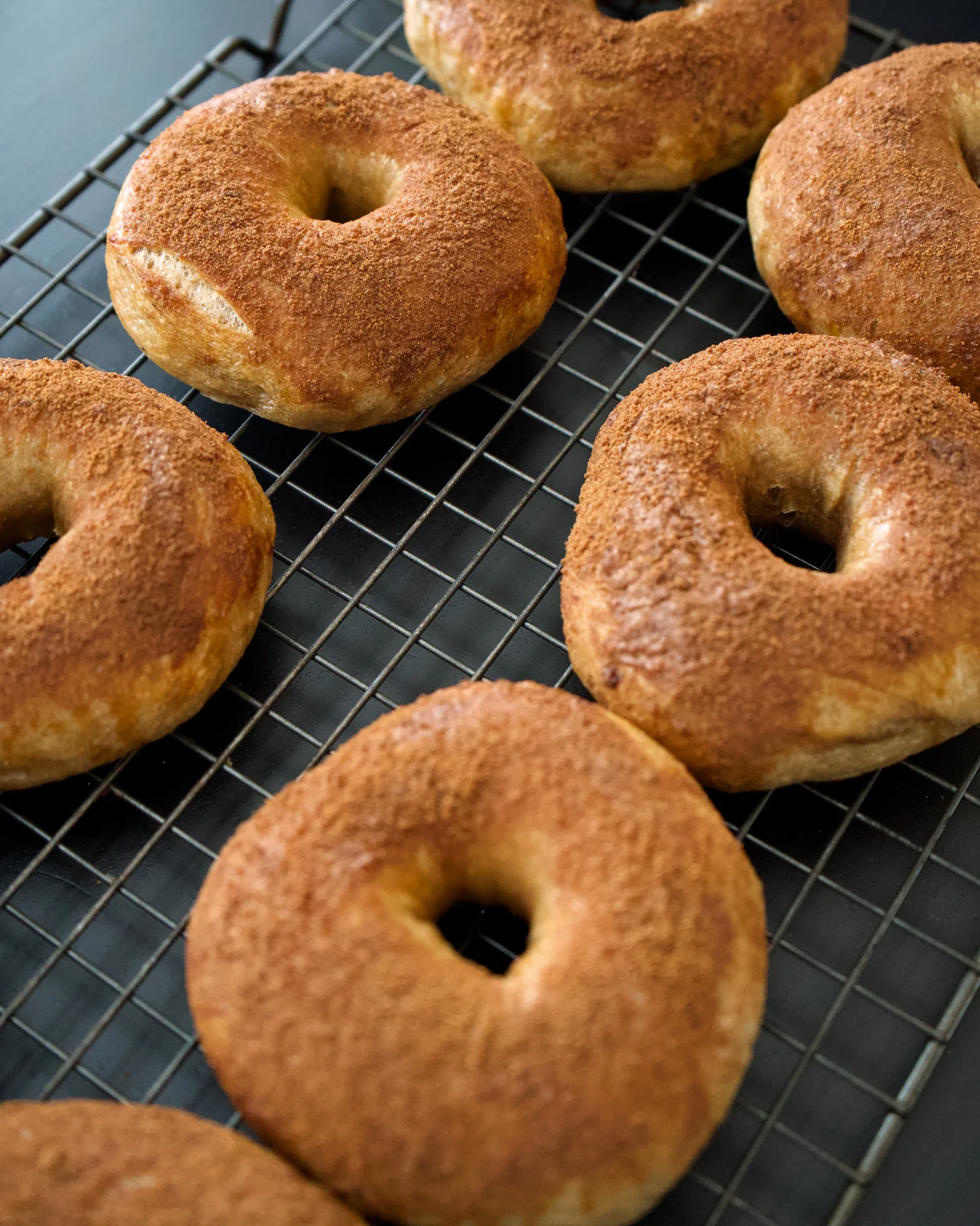 Flavored Sourdough Bagels, photo 5
