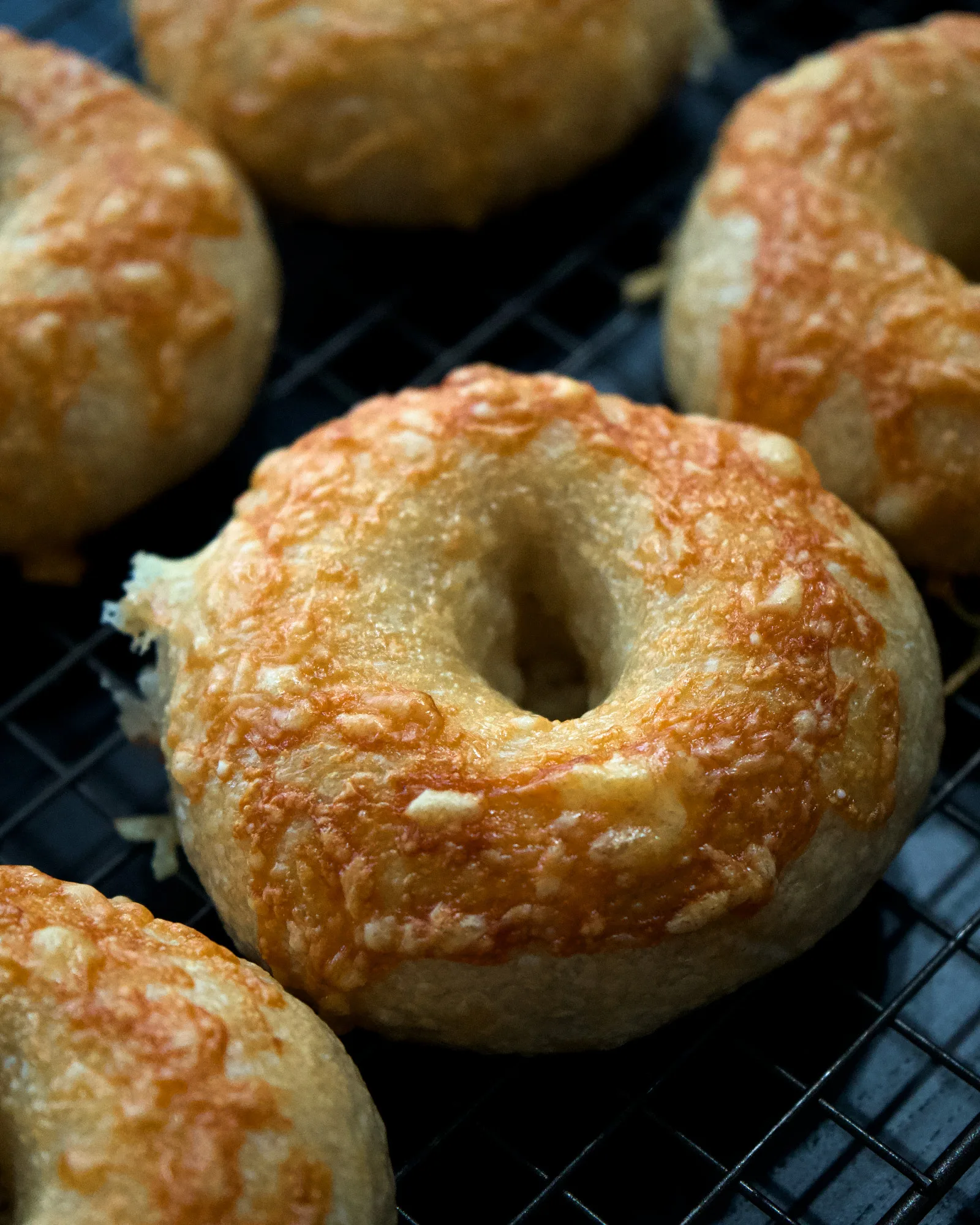 Flavored Sourdough Bagels, photo 2