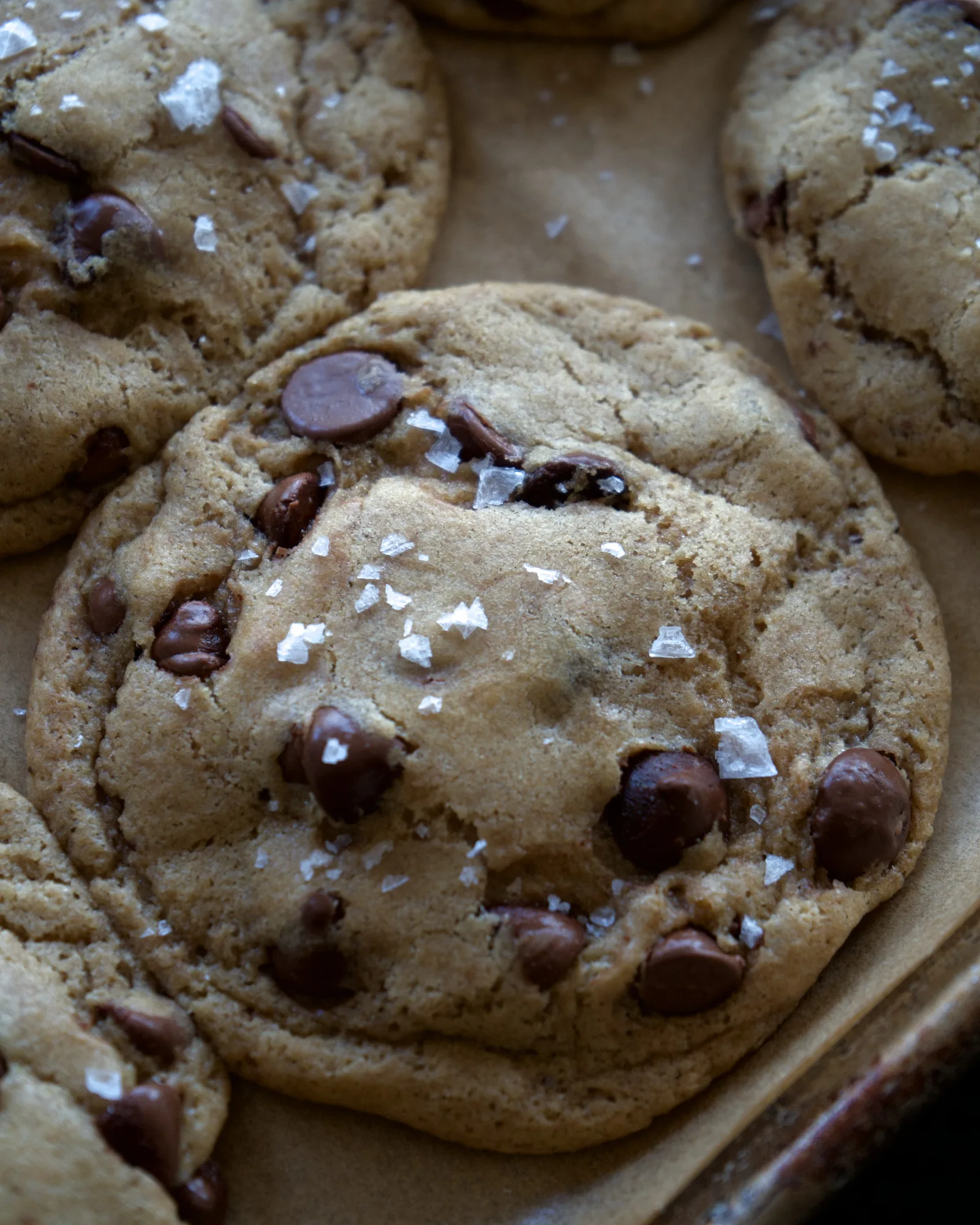 Sourdough Chocolate Chip Cookies