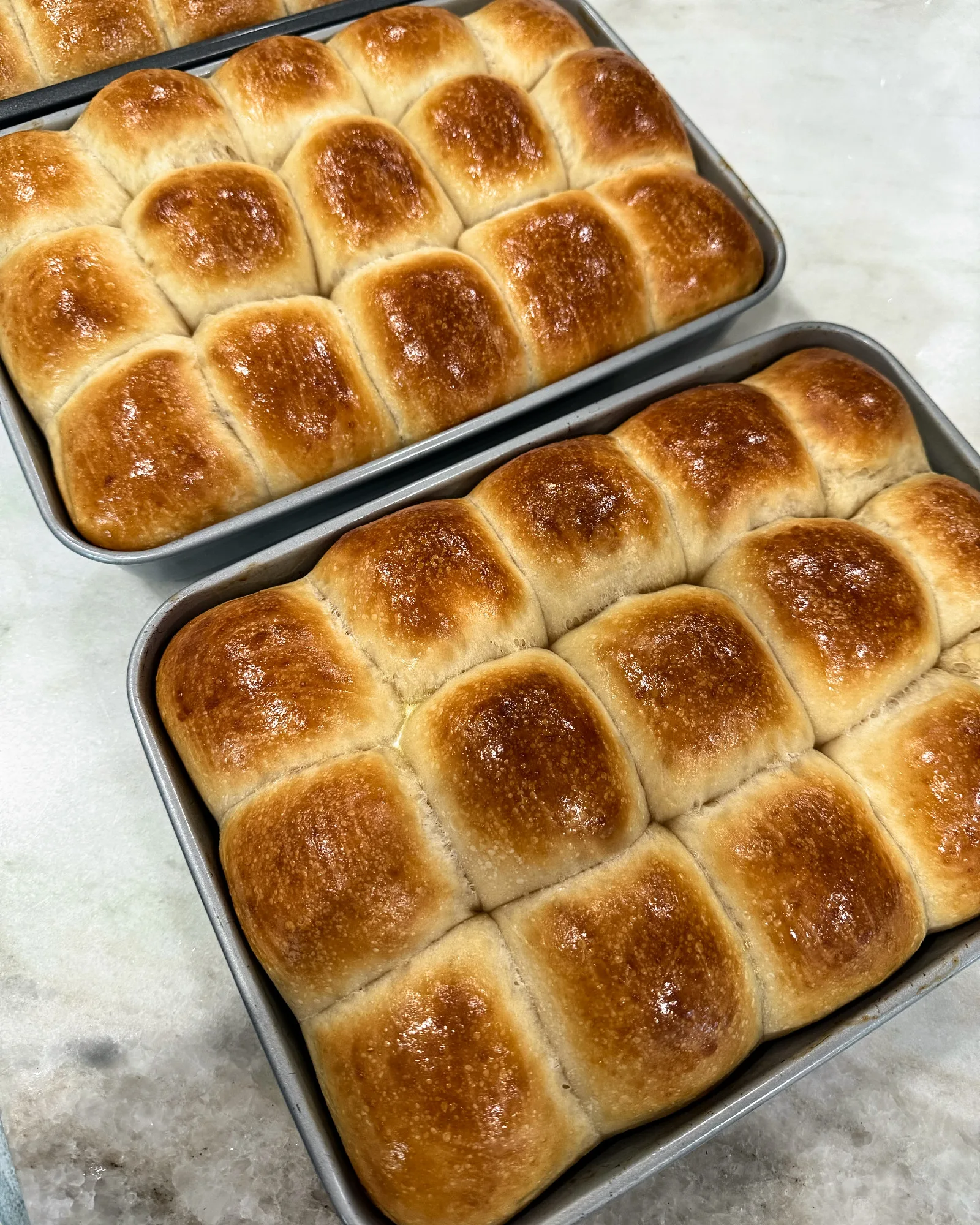 Sourdough Dinner Rolls