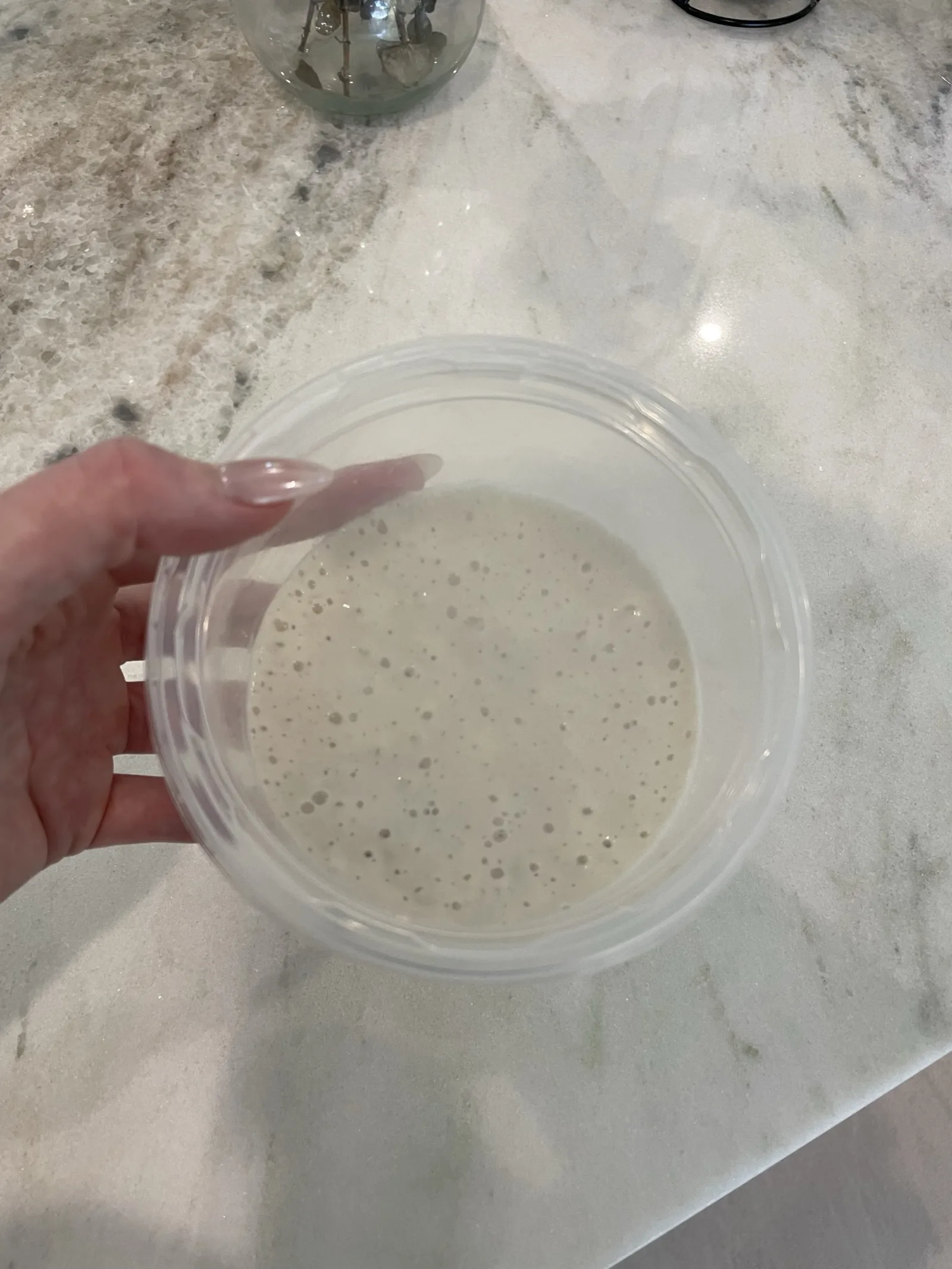 Sourdough Starter, 4 oz