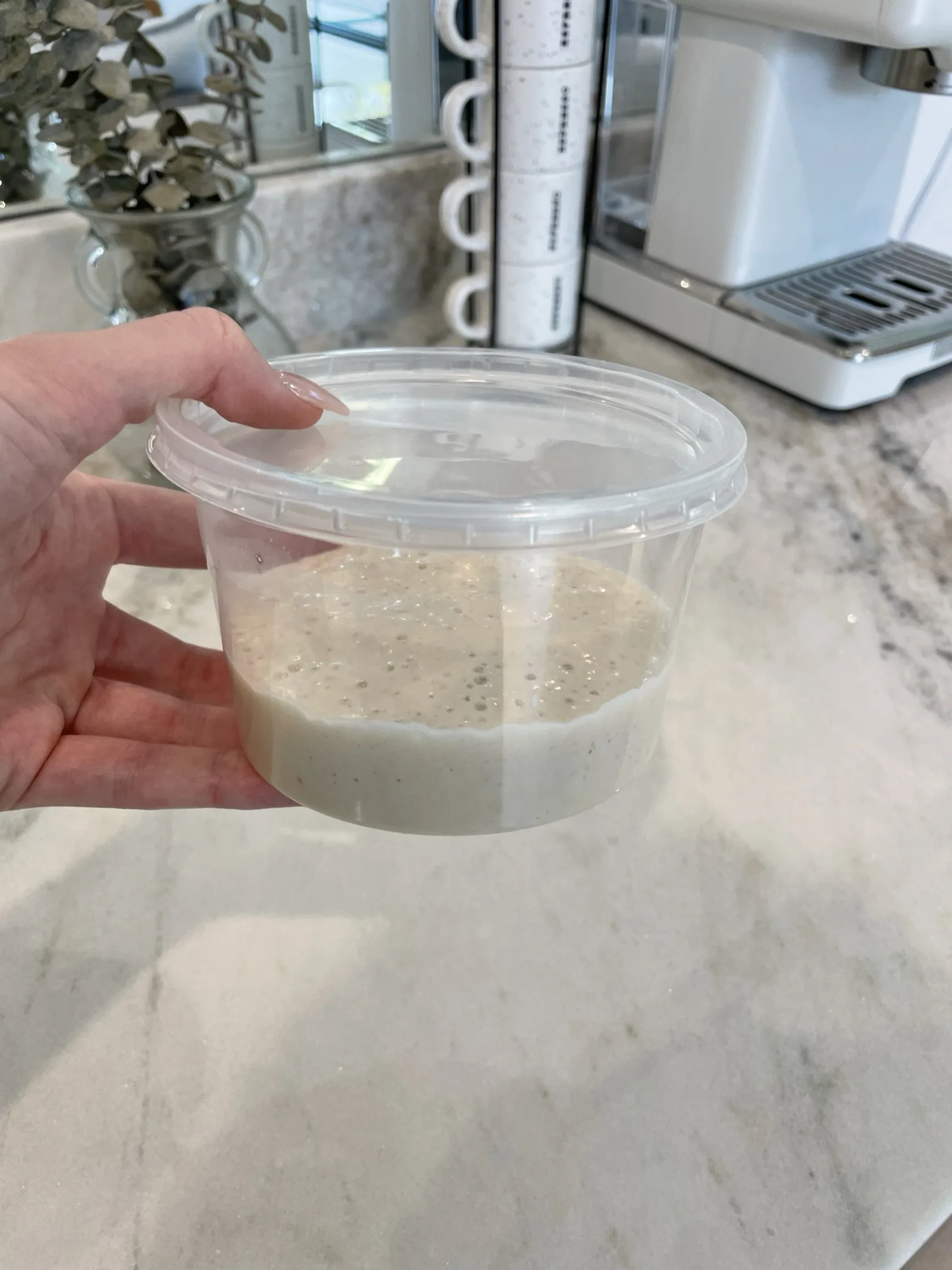Sourdough Starter, 4 oz, photo 2